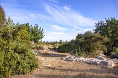 Sonbahar ağaçları ve çalılarla kaplı bir manzara, sirrus bulutlu mavi gökyüzü.