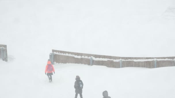 城市环境中的暴雪 模糊的冬季气候背景 — 图库视频影像
