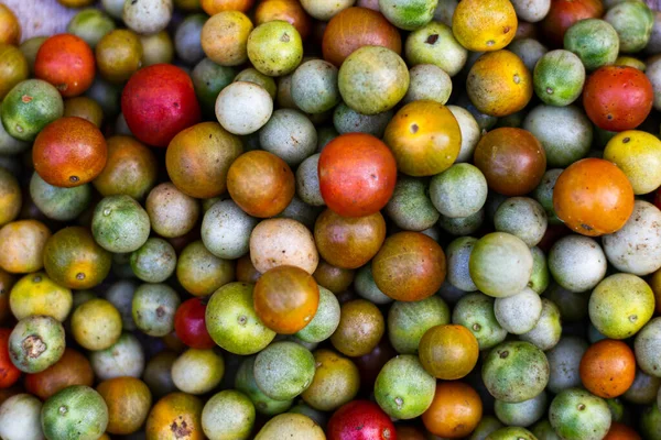 Wielokolorowe pomidory wiśniowe na rynku porannym — Zdjęcie stockowe