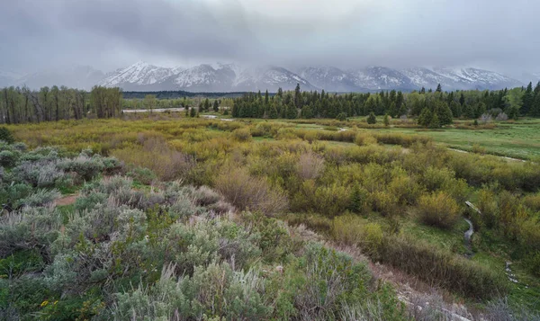 Grand Teton Ulusal Parkı 'ndaki panoramik manzara