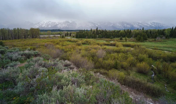 Grand Teton Ulusal Parkı 'ndaki panoramik manzara