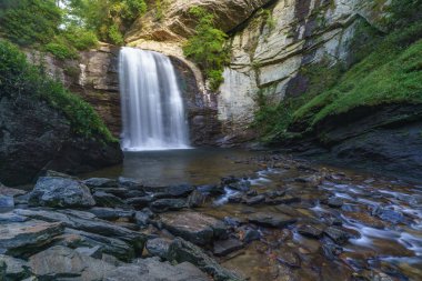 Looking Glass Falls in Pisgah National Forest, near Asheville, North Carolina clipart