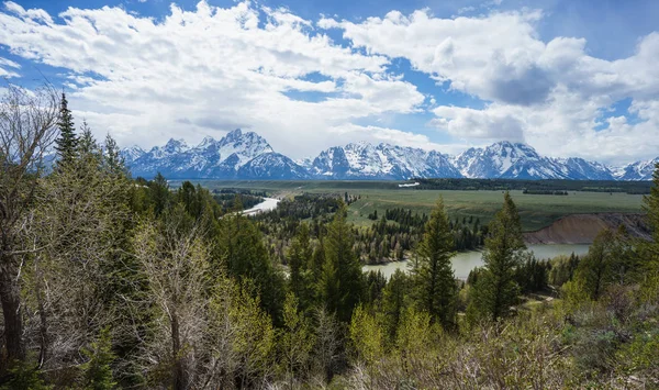 Grand Teton Ulusal Parkı 'ndaki panoramik manzara