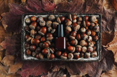 Meşe palamudu, fındık ve yaprağın arka planında oje şişesi