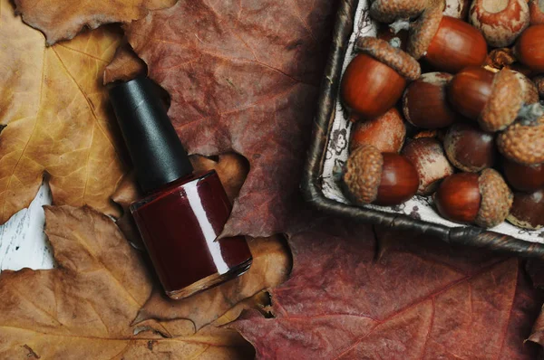 Lak na nehty láhev na pozadí žaludy, ořechy a listy — Stock fotografie