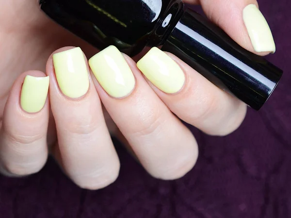 Bright yellow manicure with black stripes and sunflowers pattern on black background 스톡 사진