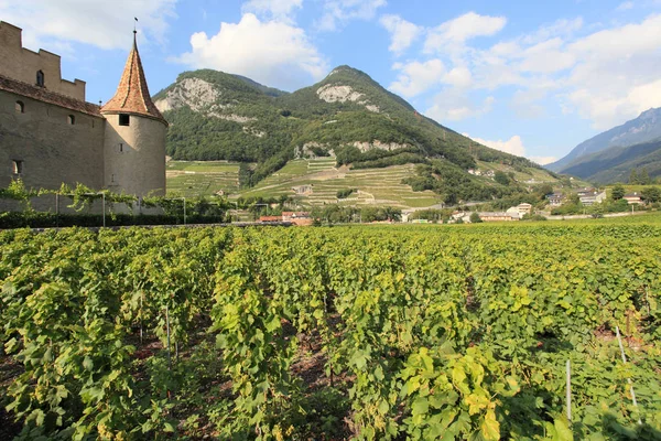 Slottet och vingård i aigle — Stockfoto
