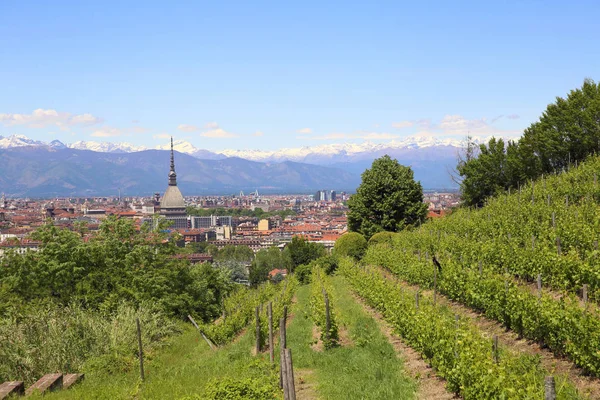 Panoramic landscape in Turin — Stock Photo, Image