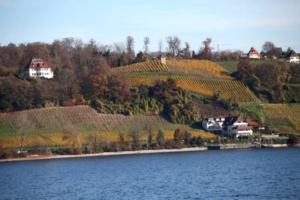 Landscape at Lake Constance — Stock Photo, Image
