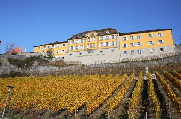 Hrad a vinicí Meersburg, Německo — Stock fotografie