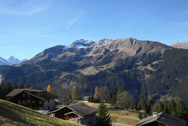 Paesaggio alpino a Jungfrau — Foto Stock