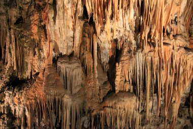 Postojna Cave of Slovenia  clipart