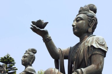 Bodhisattva Po Lin tapınağında Lantau, Hong Kong
