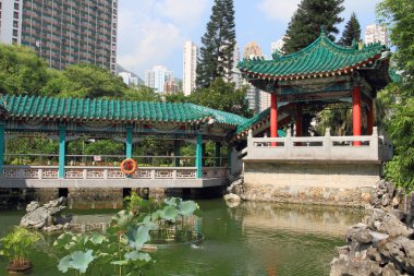 Wong Tai Sin Temple, Hong Kong, Çin Bahçe