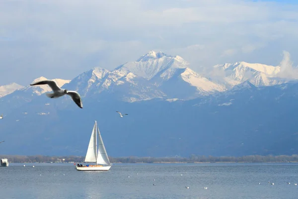 Paisaje Lago Maggiore Visto Desde Locarno Suiza — Foto de Stock