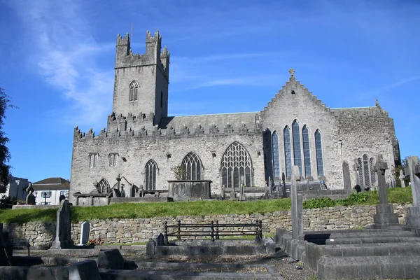 Mary Cathedral Limerick Irland – stockfoto
