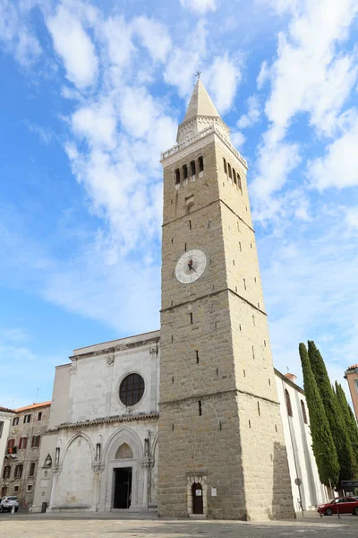 Duomo Medievale Piazza Del Mercato Capodistria Slovenia — Foto Stock