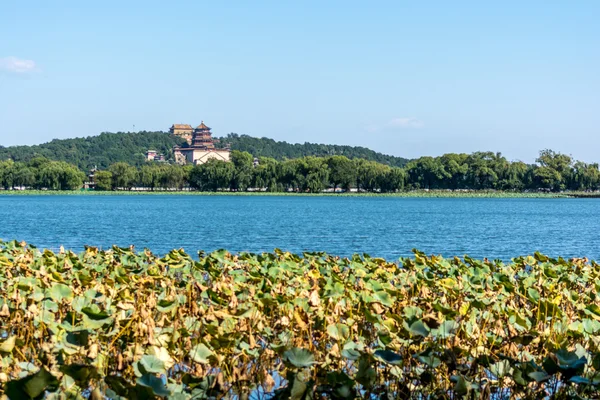 Füstölő tornyot a buddhista — Stock Fotó