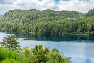 Lake Correntoso uyanık