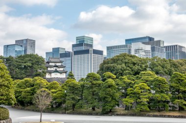 Mt. Fuji-görünümü koru