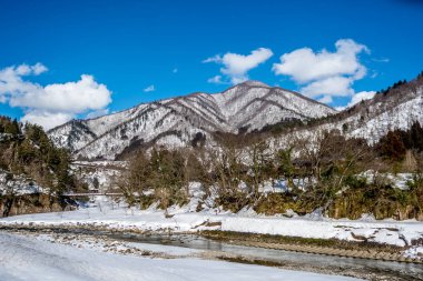 karla kaplı dağ ve çam ağacı