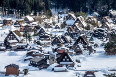 Shirakawa-go Unesco Milli Heritage Koyu
