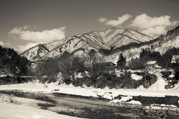 La montagne enneigée et le pin — Photo