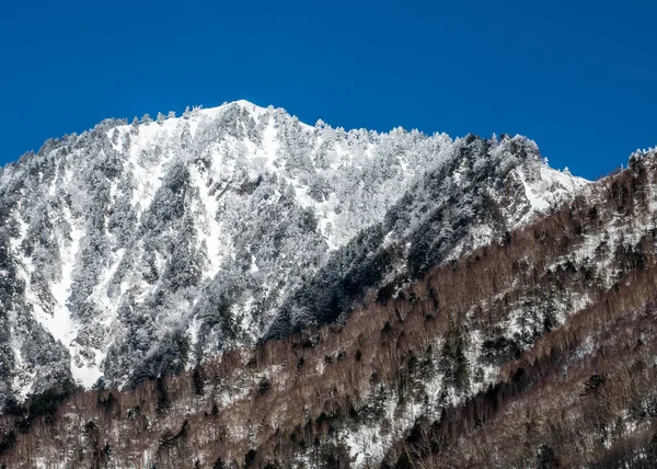 A hóval borított-hegy és a fenyő — Stock Fotó