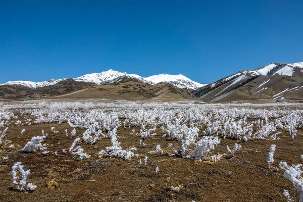 Το χιόνι στο βουνό του Tianshan — Φωτογραφία Αρχείου