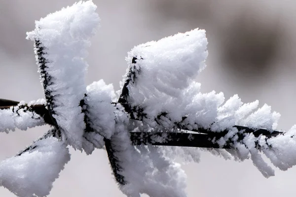 Das silberne Tauwetter — Stockfoto