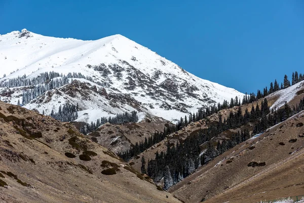天山の雪の山 — ストック写真