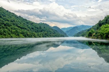 Misty Small Dongjiang