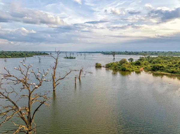 Udawalawe Nationaalpark — Stockfoto