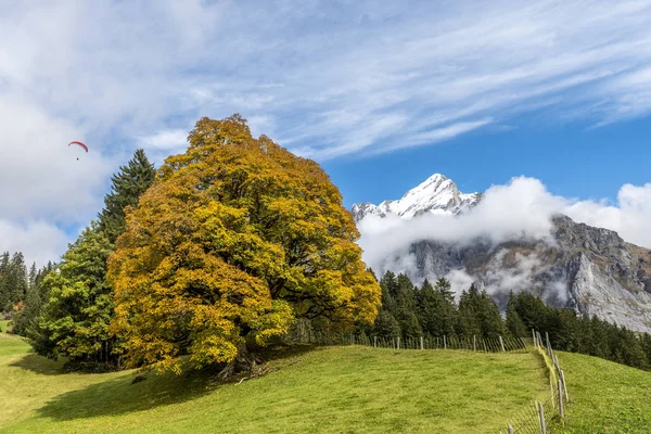 Increíble sueño como paisaje montañoso alpino suizo —  Fotos de Stock