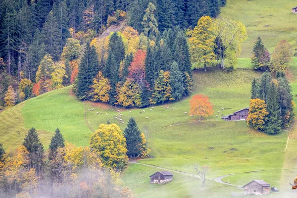 Удивительная мечта, как швейцарский альпийский горный пейзаж — стоковое фото