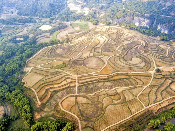 The fields in Chongzuo — Stock Photo, Image