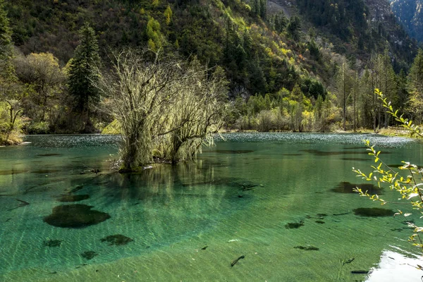 El hermoso paisaje otoñal de la zanja bipeng Fotos de stock libres de derechos