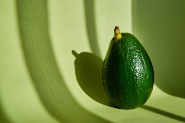 Güneş ışığında yeşil avokado ve güzel yeşil bir arka plan. Avokado yakın çekim. Doğal taze organik ekolojik ürün. Sağlıklı beslenme, çiğ gıda diyeti. Vejetaryen yaşam tarzı. Düzgün beslenme. Yemek hazır.