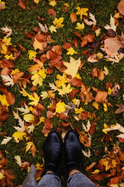 Bir kadın sonbahar yapraklarının üzerinde duruyor. Ayaklarının altındaki yapraklar. Sonbahar sezonu, doğal arka plan. Yeşil, kırmızı ve sarı kuru yapraklar. Ekim ve Kasım tatilleri. Güzel turuncu mevsimlik doku