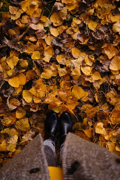 Een Vrouw Staat Herfstbladeren Loof Onder Voeten Herfstseizoen Natuurlijke Achtergrond — Stockfoto