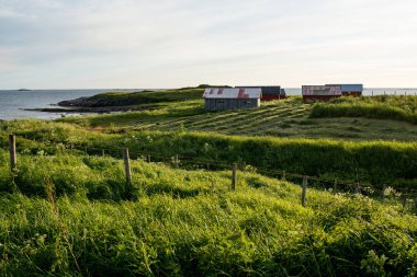 Rorbu evi. Güzel doğa manzarasında balıkçı kulübesi. İnanılmaz manzaralı açık hava manzarası. Okyanus ve dağlar. Dramatik bulutlar. Turistik bir yer. Seyahat ve macera yaşam tarzı. Kuzey Norveç 'i Keşfedin