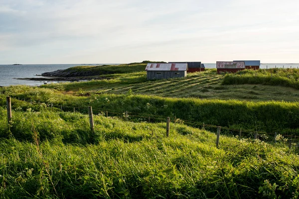 Casa Rorbu Cabana Pesca Bela Paisagem Natureza Vista Panorâmica Livre — Fotografia de Stock