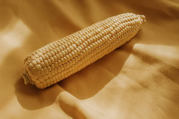 Kobieta Żółtej Bluzie Trzyma Kukurydzę Rękach Zbliżenie Kukurydzy Naturalne Świeże — Zdjęcie stockowe