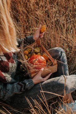 Woman holding wooden box with pumpkin and squash. Blond hair girl harvesting in outdoor nature. Organic food. Autumn season. Fall color, orange and yellow. Pumpkin day, Thanksgiving and Halloween