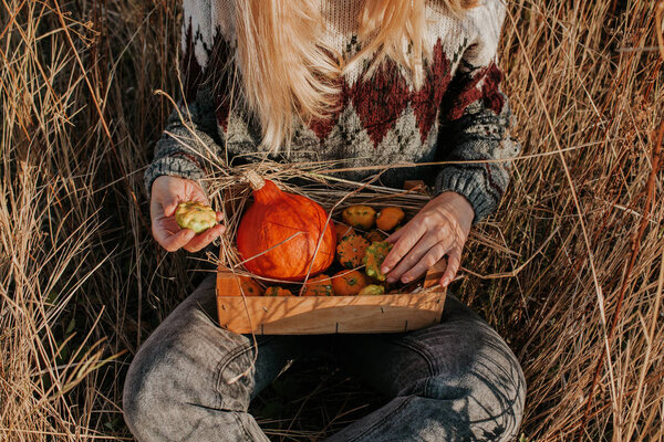 Woman holding wooden box with pumpkin and squash. Blond hair girl harvesting in outdoor nature. Organic food. Autumn season. Fall color, orange and yellow. Pumpkin day, Thanksgiving and Halloween