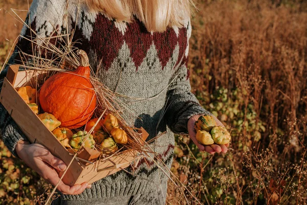 カボチャとスカッシュと木製の箱を保持女性 ブロンドの髪の女の子は屋外の性質で収穫 有機食品 秋のシーズン秋の色 オレンジと黄色 カボチャの日 感謝祭とハロウィン — ストック写真