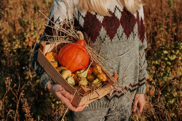 カボチャとスカッシュと木製の箱を保持女性 ブロンドの髪の女の子は屋外の性質で収穫 有機食品 秋のシーズン秋の色 オレンジと黄色 カボチャの日 感謝祭とハロウィン — ストック写真