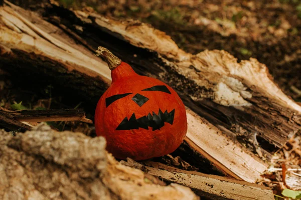 Calabaza Halloween Calabaza Cara Miedo Exterior Feliz Fiesta Halloween Celebrar — Foto de Stock