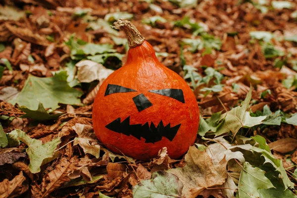 Zucca Halloween Zucca Faccia Spaventosa All Aperto Felice Festa Halloween — Foto Stock