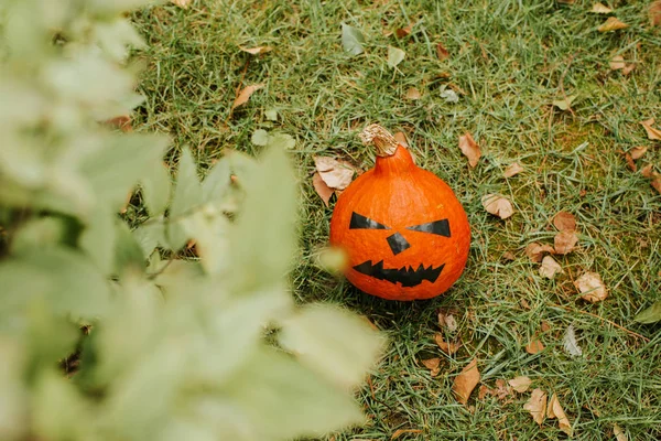 Calabaza Halloween Calabaza Cara Miedo Exterior Feliz Fiesta Halloween Celebrar — Foto de Stock